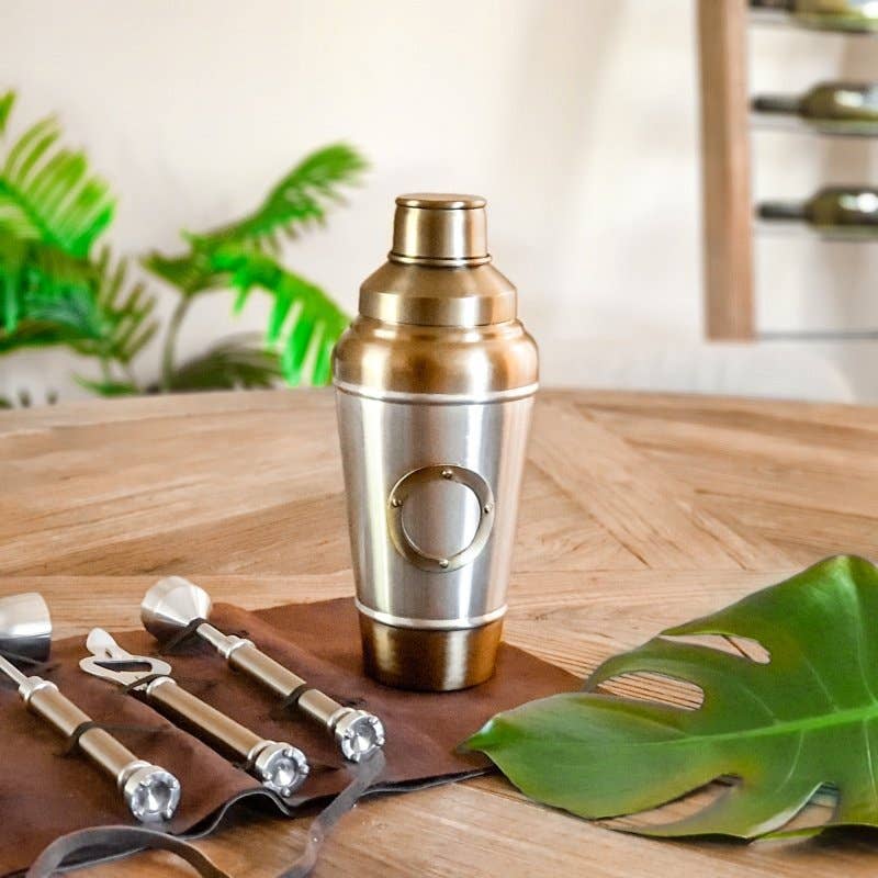 Steel and Antique Brass Cocktail Shaker